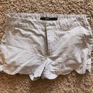 Cute Scallop Shorts